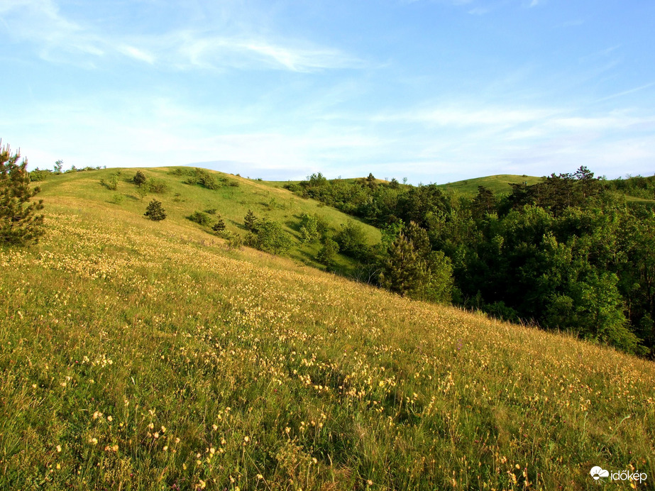Májusban a szénásokon 