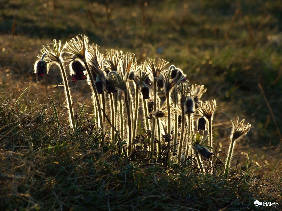 Az út második fele