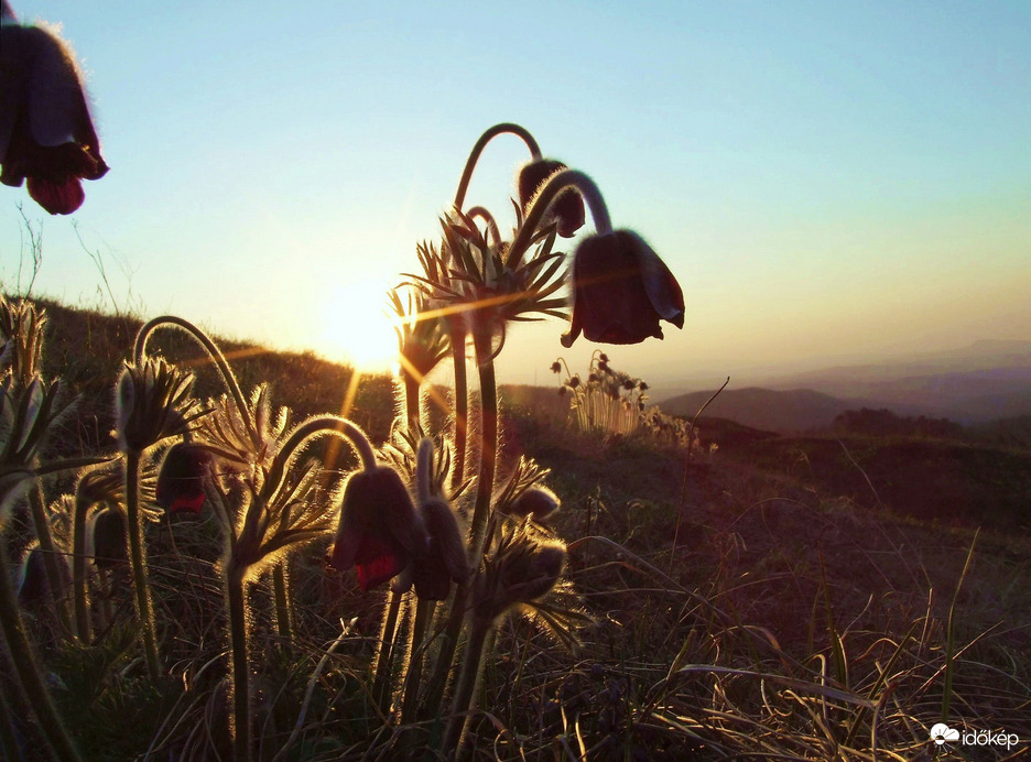 Az út második fele