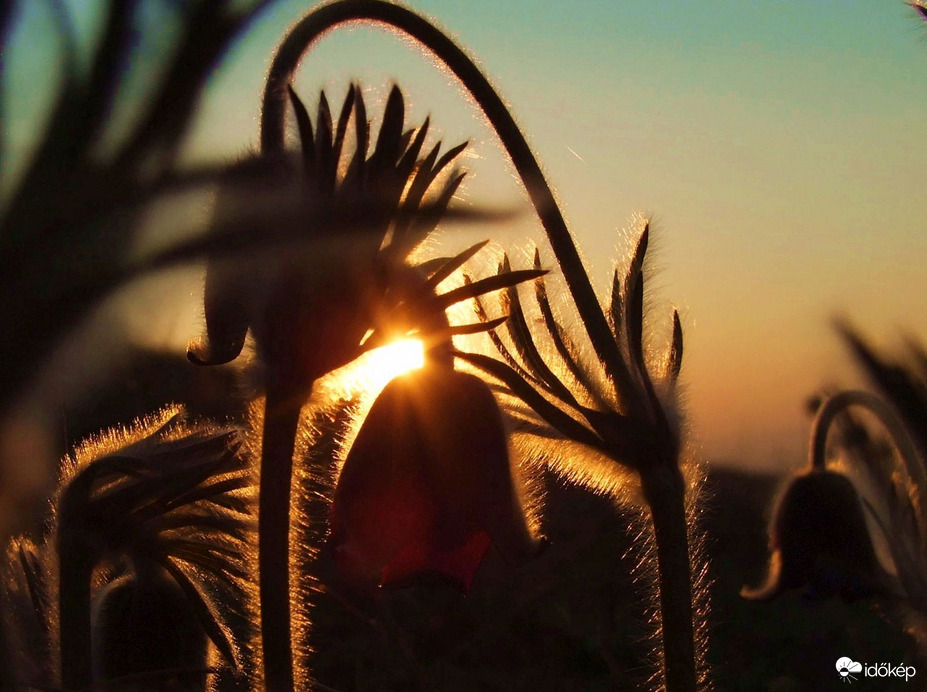 Az út második fele