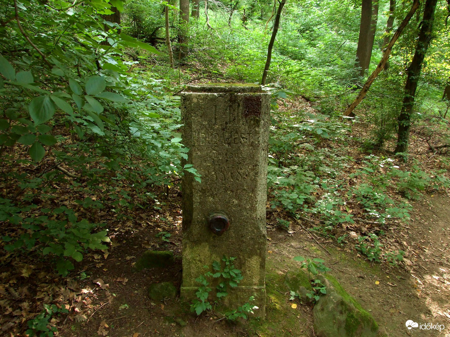 Természet