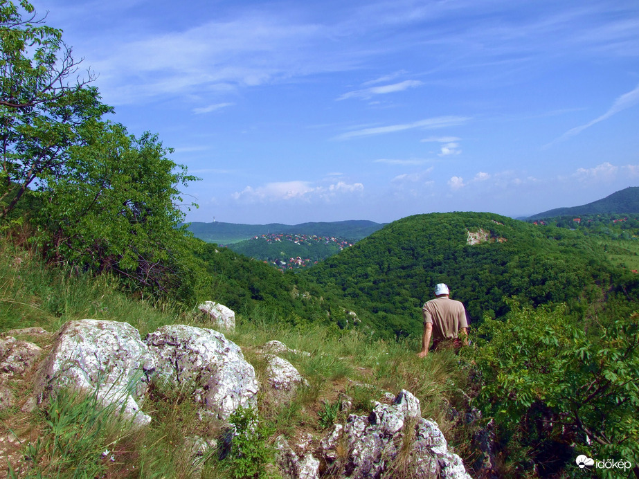 Természet