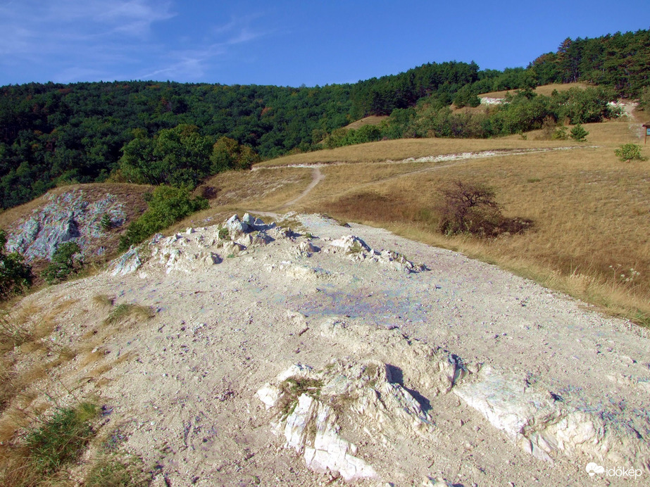 Természet