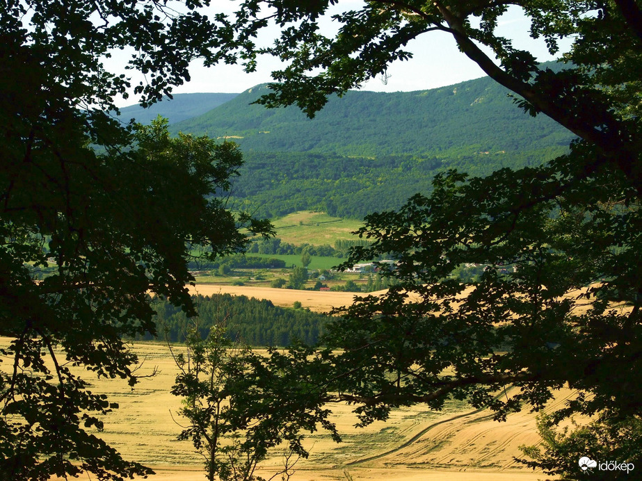 Természet