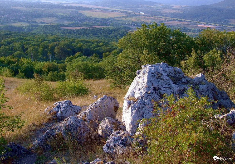 Természet