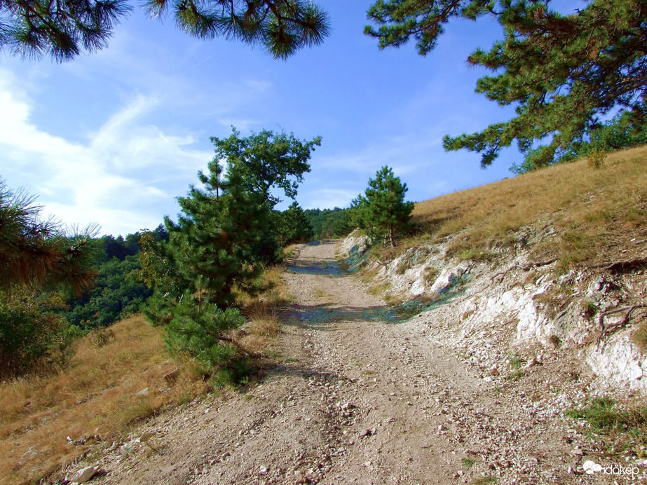 Természet