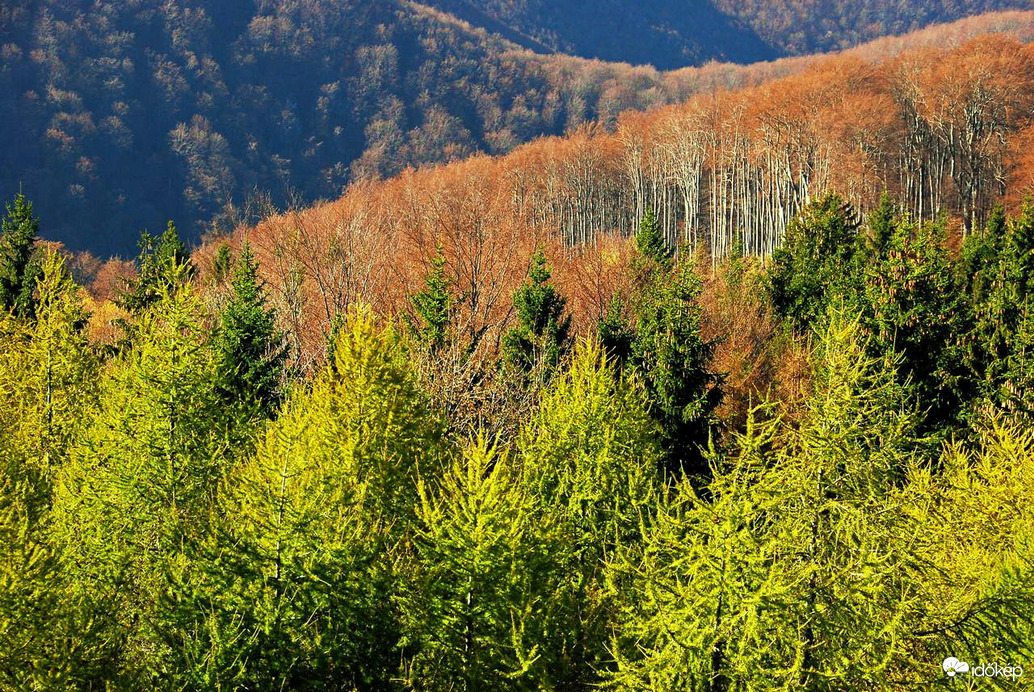 Ősszel, a hegyekben 