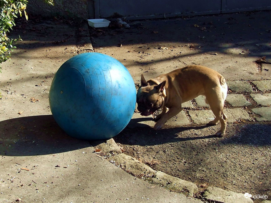 Ronaldót megszégyenítő tálentum :))