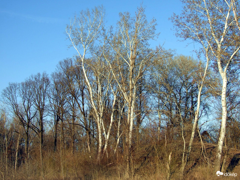 Már másképp süt a nap