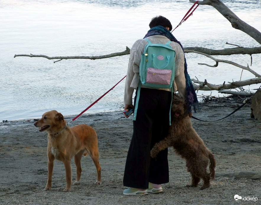 A kutsusok is élvezik a jó időt