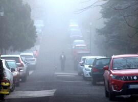 Reggeli kutyasétáltatás 