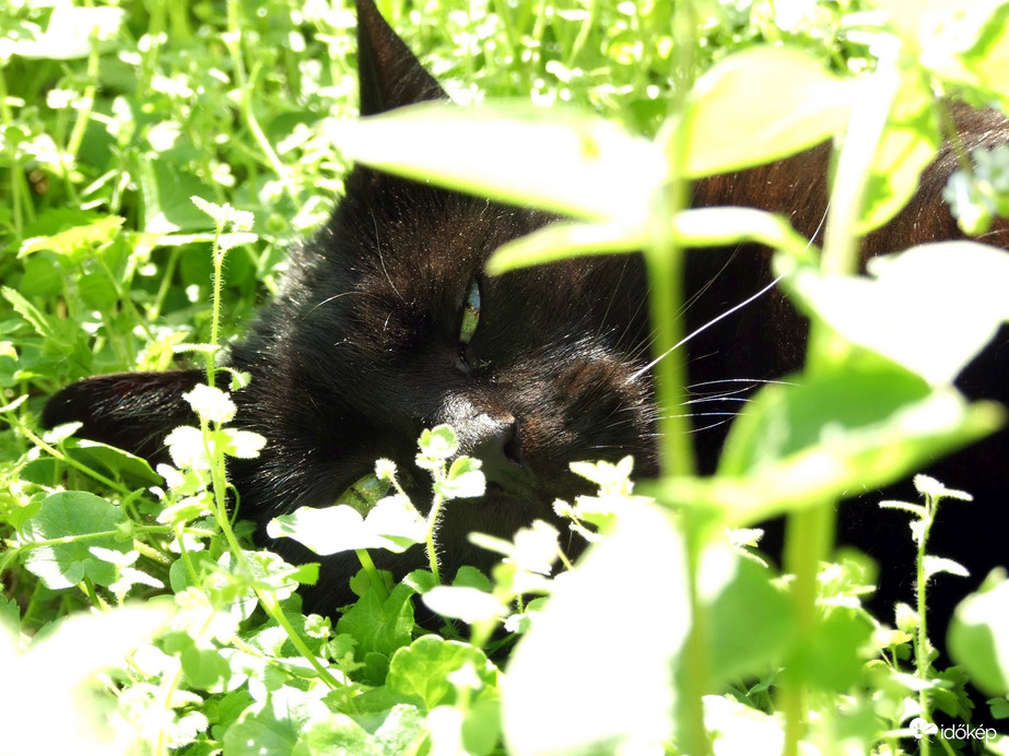 Itt  maradok, nem megyek sehova...:)