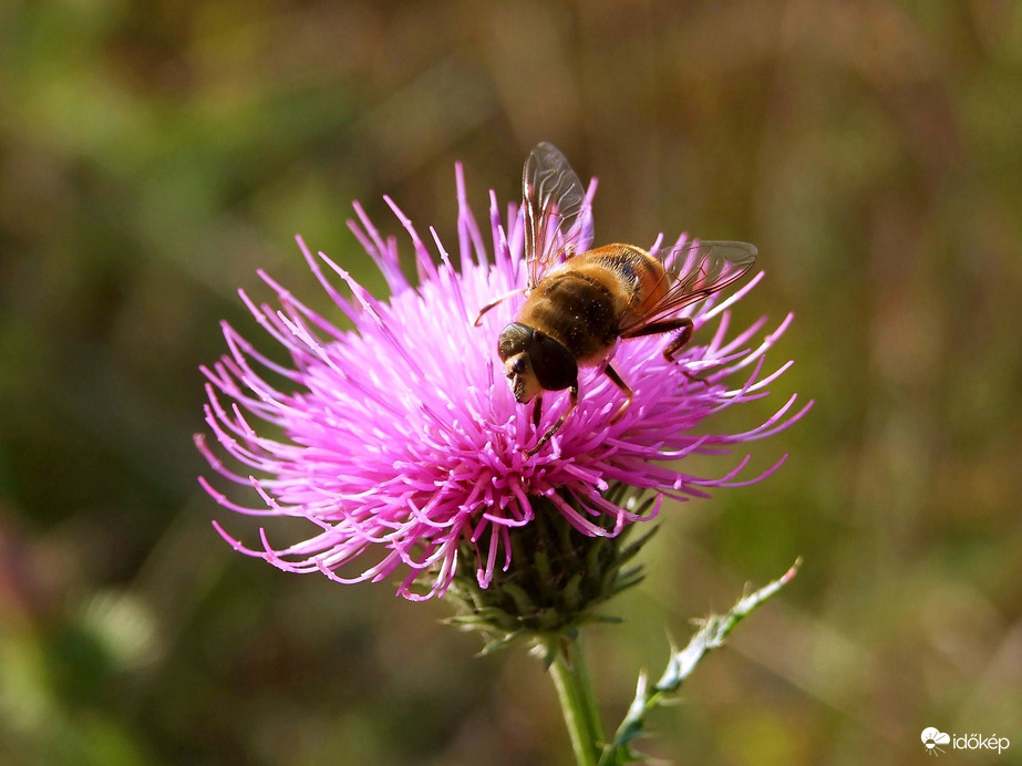 Folyik még a munka :)