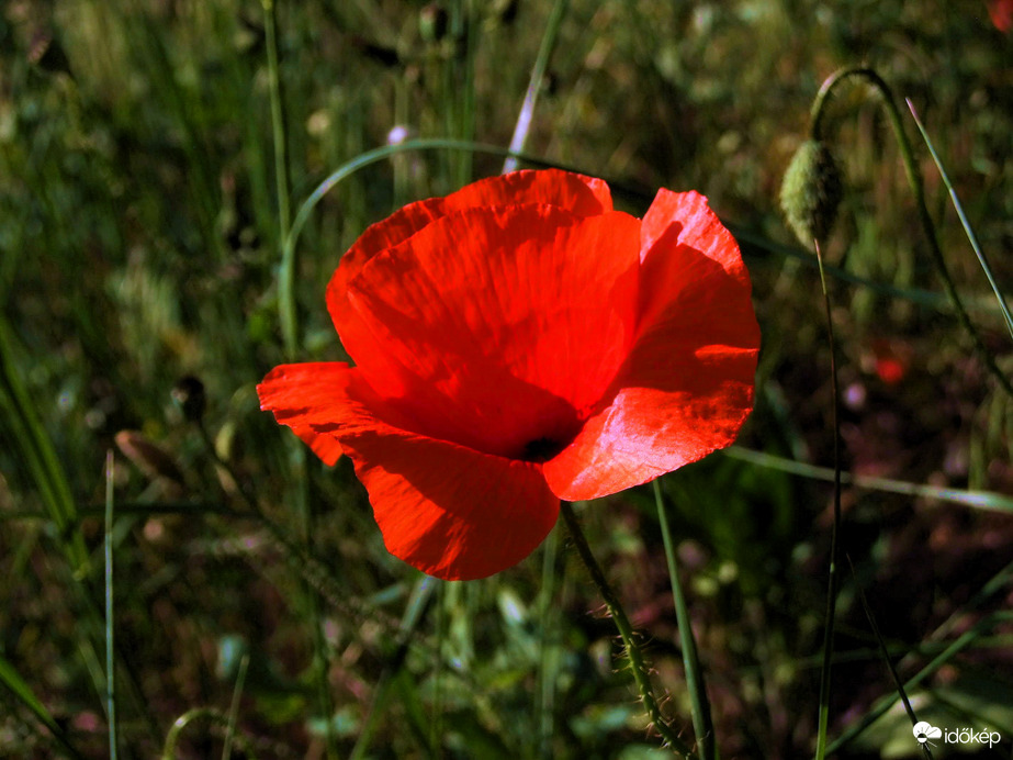 A ráncok, amik nem öregítenek :)