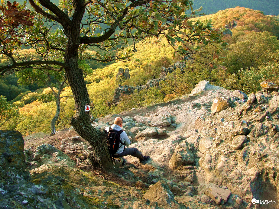 A fáradt vándor pihenője :) 