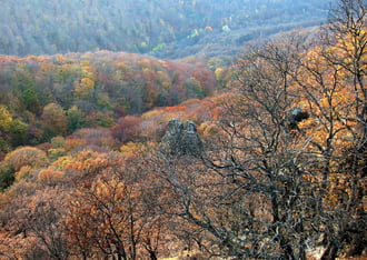 Színek ősz végén 