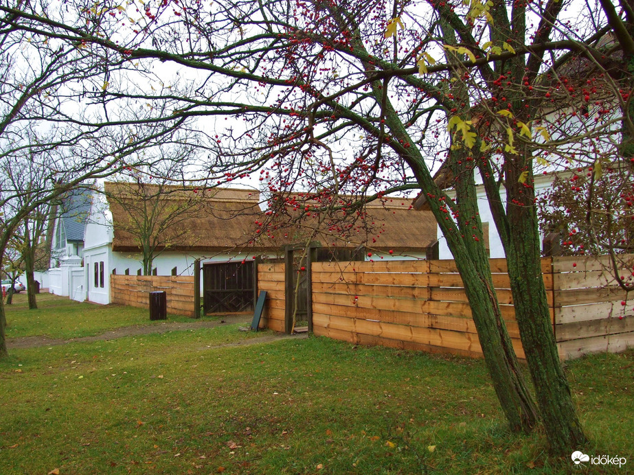 Színek a szürkeségben 