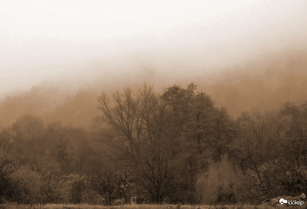 Őszi köd  
