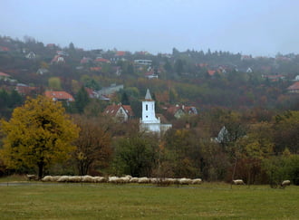 Tájkép birkákkal :)