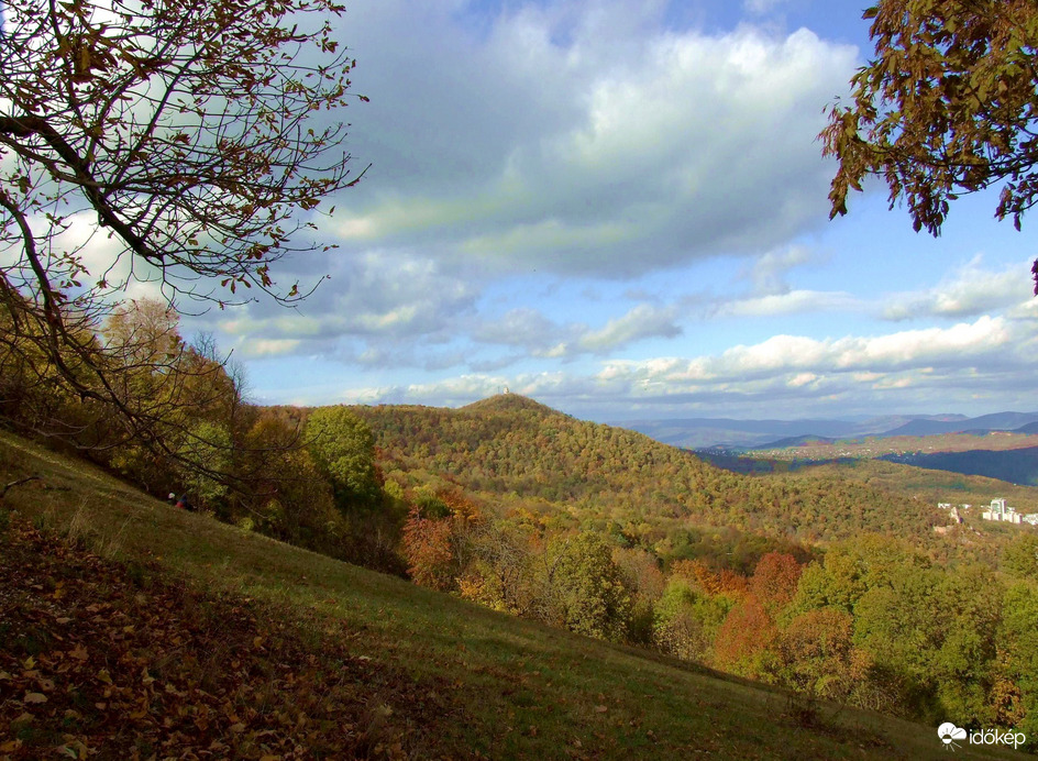 Őszi kirándulás - A Normafa és környéke ősszel 