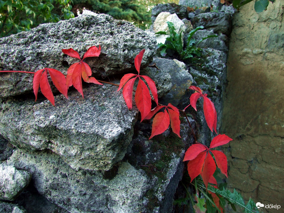 Futólag találkoztunk :)