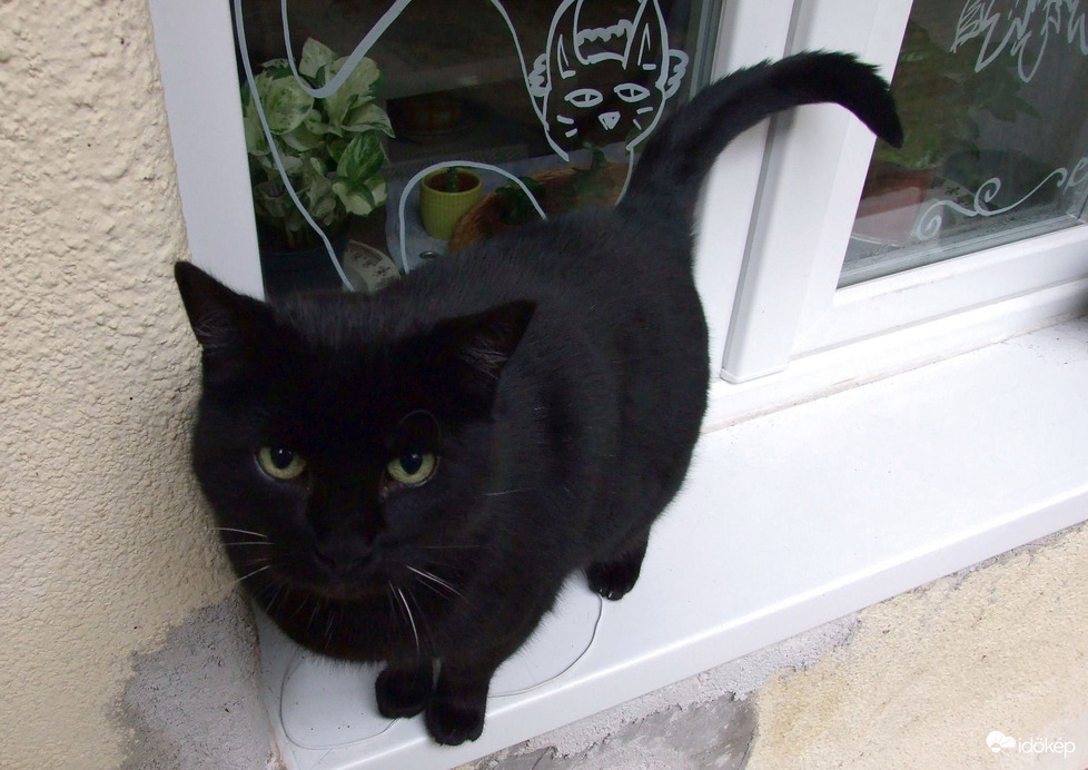 Ugye feljöhetek? :)