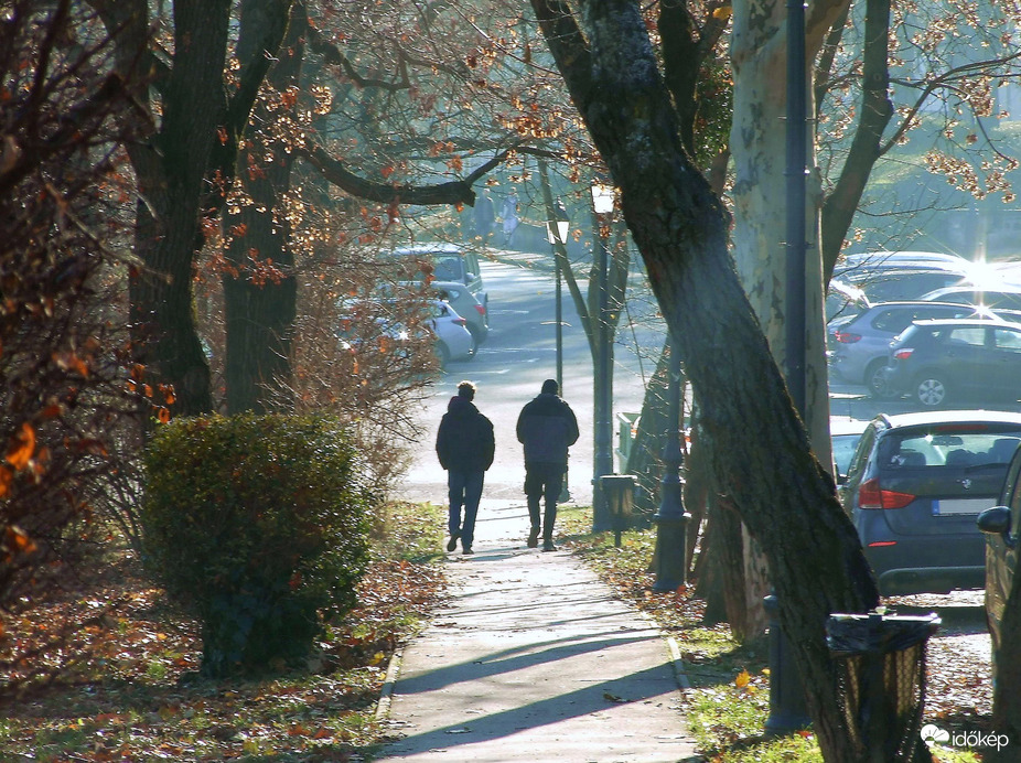 Séta reggeli fényben 
