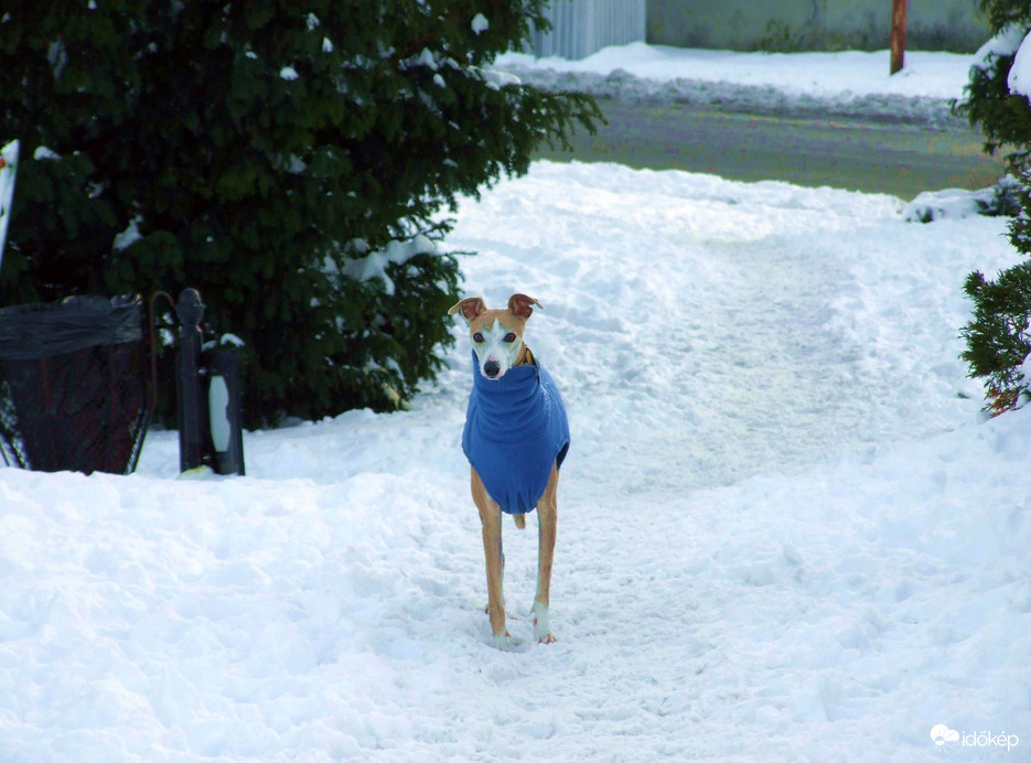 Neki nem akadály a magas hó :)