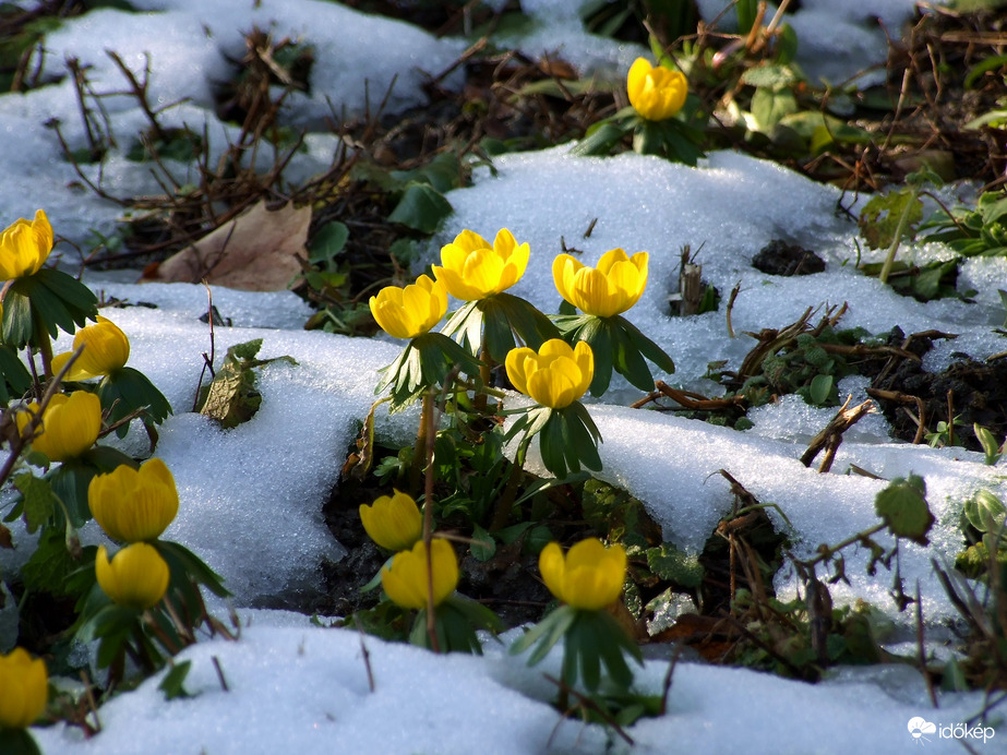 A délutáni napfény jótékony hatása :)