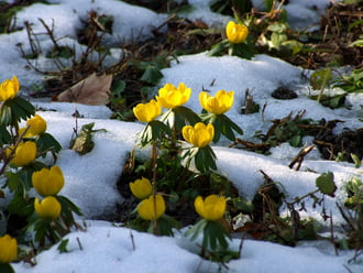A délutáni napfény jótékony hatása :)