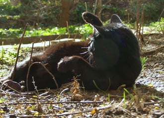 A francba! Megint nem látom, ki fütyörészik ott. :)