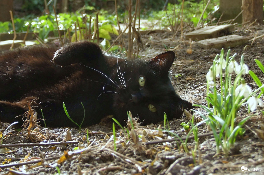 Higyjétek el, a legjobb ilyenkor macskának lenni :)