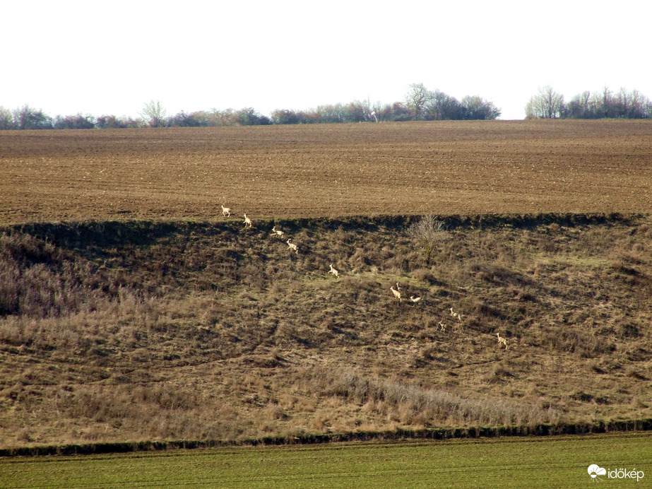Az első már fent van! :)