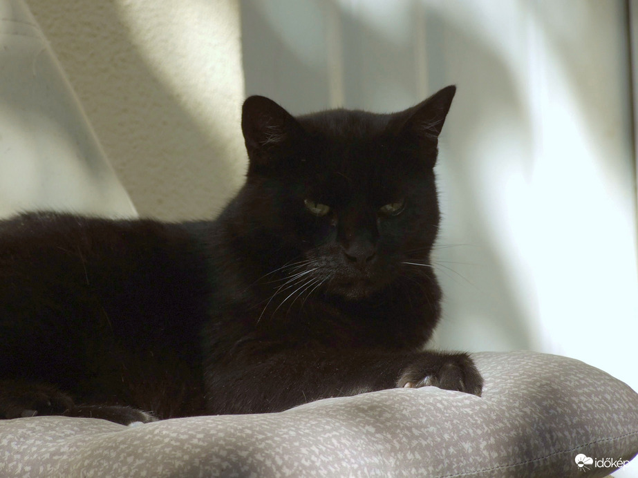 Ma egy kicsit morcosak vagyunk :)