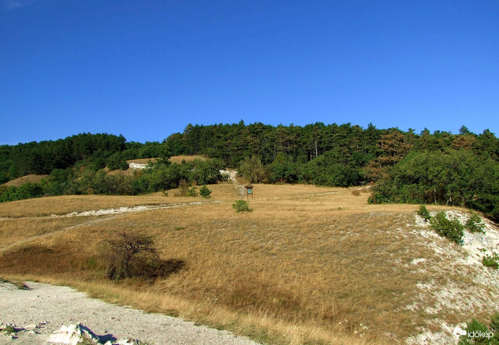 Természet