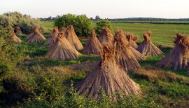 Szalmabálák 2. 