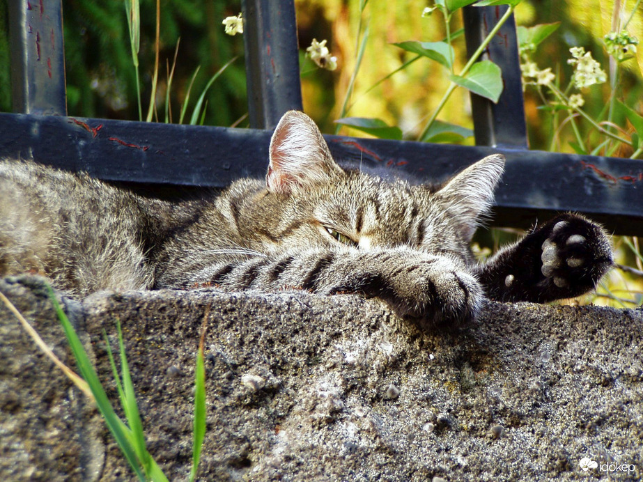 Téged már ismerlek! :)