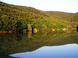 A csend világa 
