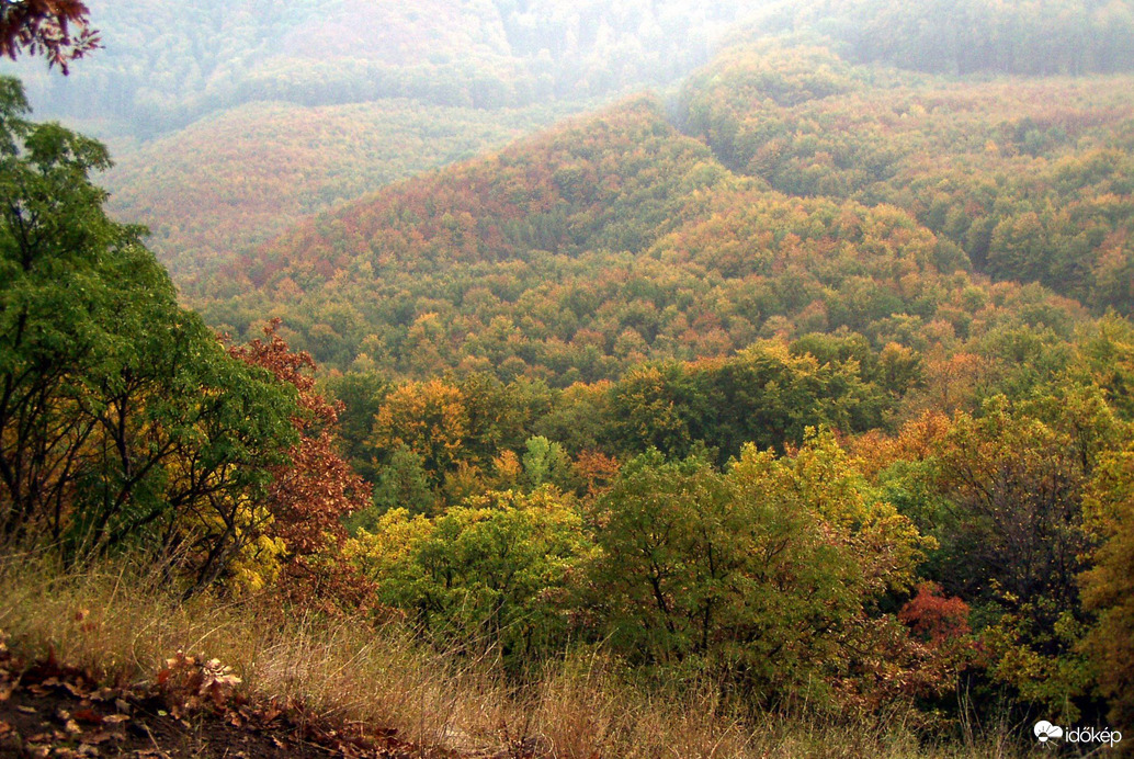 Nyúlós, ködös időben 