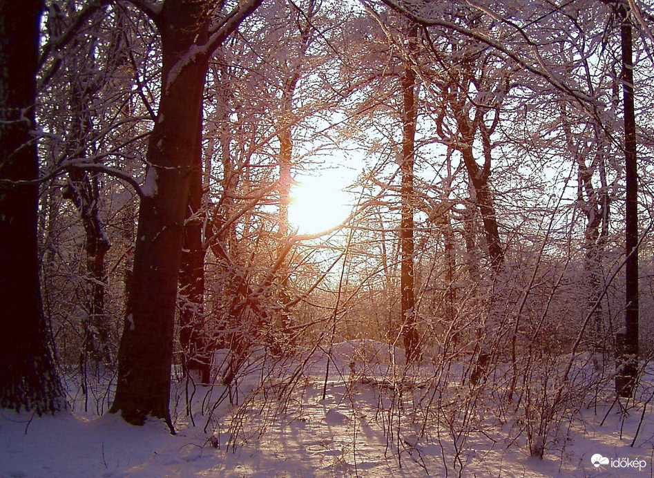 Téli világ a hegyen 