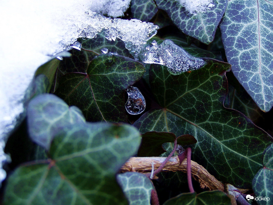 Hidegcsepp télen :) 