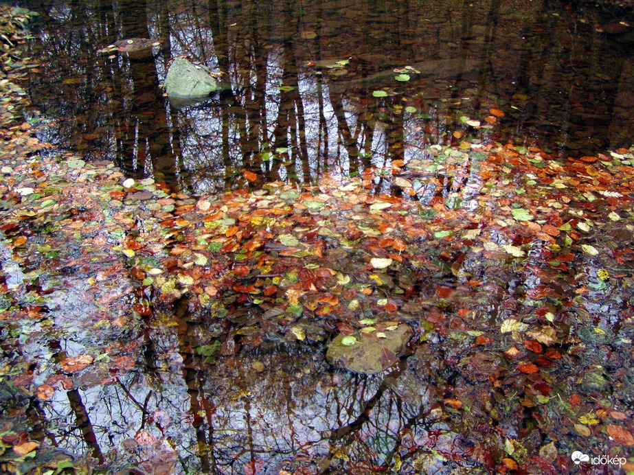 Öszi-téli tükör :) 