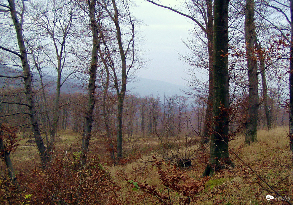 Decemberi táj 