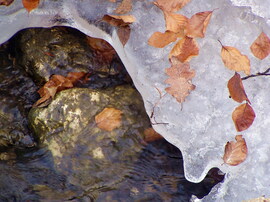 Aranyrögök a jág alatt! :)