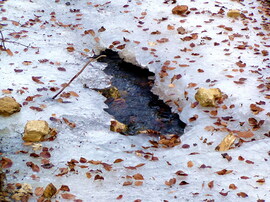 A tél műalkotása :) 