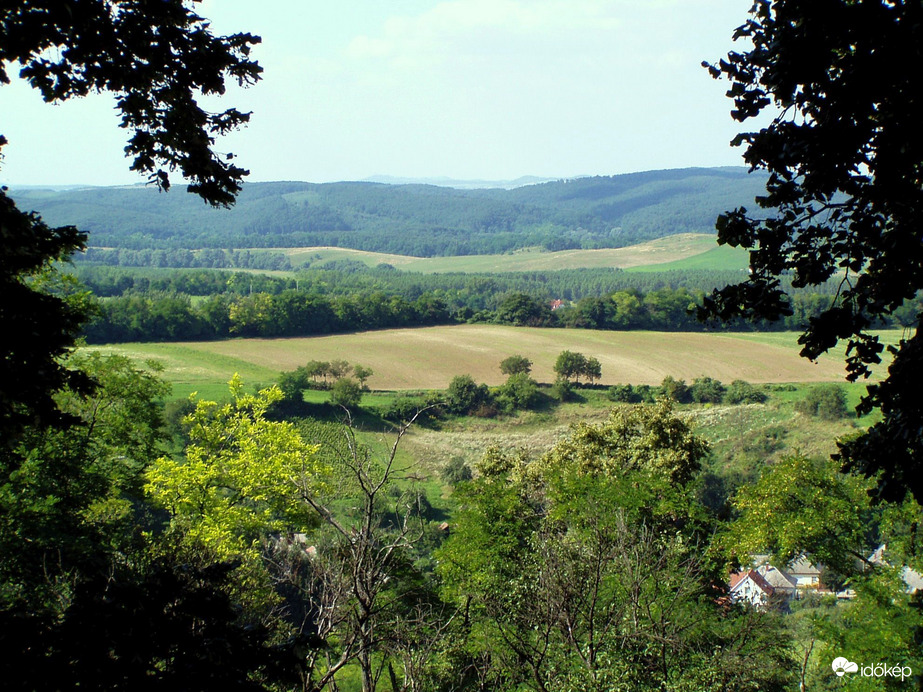 Nyáridéző