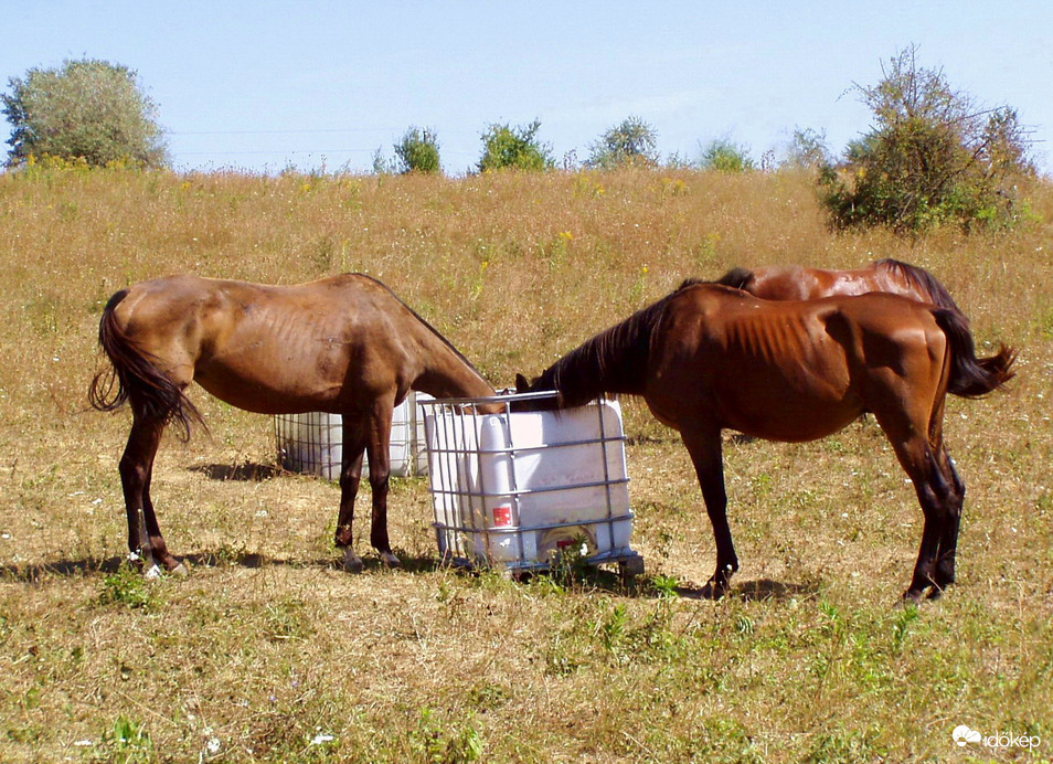 Csak bele ne szoruljunk! :)