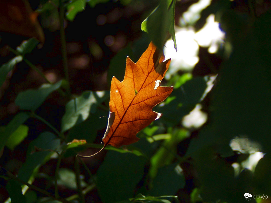 A különcöknek néha igazuk lehet. :)