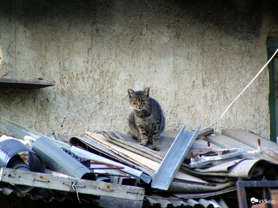 Az megvan, hogy most léptél bele...? 