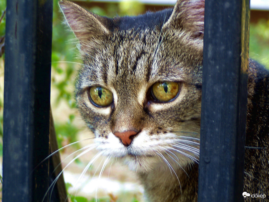Azt mondájtok, ősz van? :)